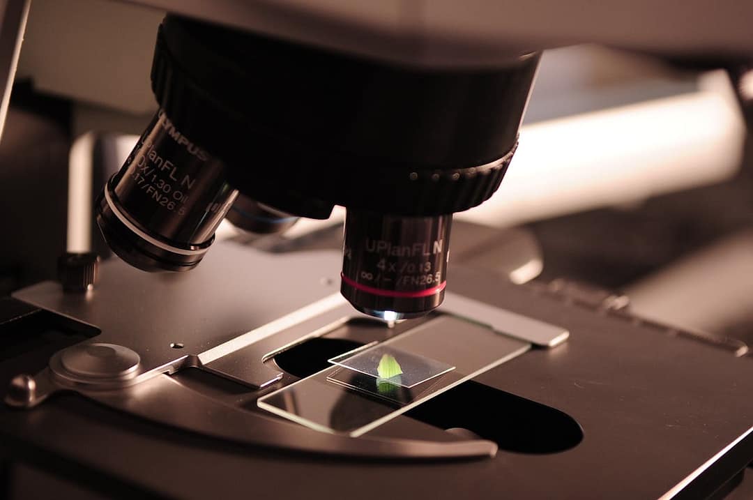 Scientists Develop New Vaccine to Combat Emerging Viruses 1 pexels pixabay 256262