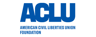 Litigates major cases involving constitutional rights, civil liberties, voting, equality, and government authority.