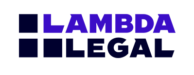 Litigates cases protecting the civil rights of LGBTQ+ people and people living with HIV.
